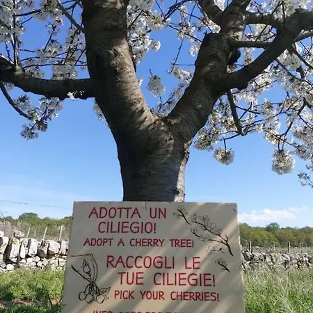 Cloe Dimore Storiche 公寓